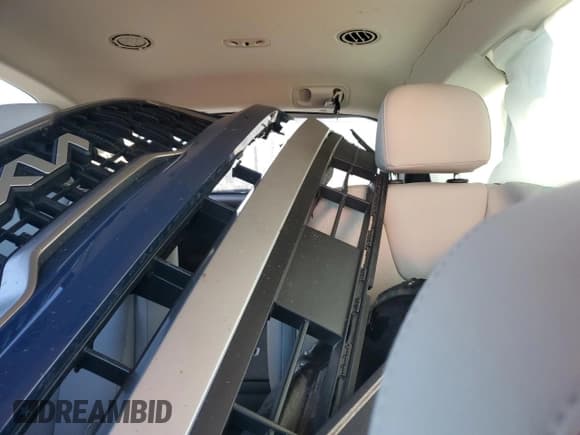 ✅ 2023 Kia Telluride EX X-Line • VIN: 5XYP3DGCXPG411696 • Lot: 89714075. Wystawiony na Copart z przebiegiem 14 599 mil. Bezpłatny archiwum sprzedaży aukcyjnych z USA i szczegółowy raport historii pojazdu na DreamBid. Zdjęcie 10.