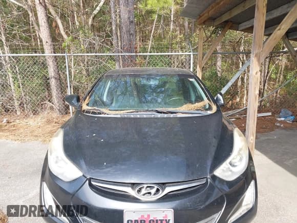 ✅ 2015 Hyundai Elantra Sport • VIN: KMHDH4AH7FU233201 • Lot: 41528040. Listed on IAAI with 185,730 mi. Free auction sales archive from the USA and detailed vehicle history report at DreamBid. Image 12.