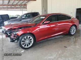 ✅ 2022 Cadillac CT5 Premium Luxury • VIN: 1G6DN5RK6N0115653 • Lot: 55759075. Listed on Copart with 21,808 mi. Free auction sales archive from the USA and detailed vehicle history report at DreamBid. Image 1.