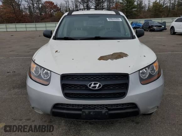 2009 Hyundai Santa Fe GLS with VIN 5NMSG13D99H297954, listed as a Copart auction lot 89644455 with 150,503 mi miles and Salvage title. Bid and sale history available at DreamBid. Image 5.