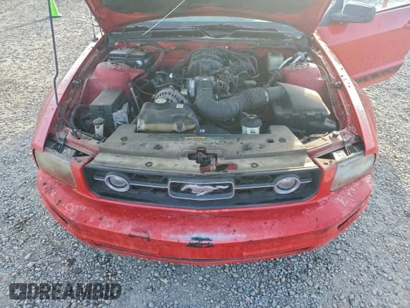 ✅ 2006 Ford Mustang Standard • VIN: 1ZVFT80N665131860 • Lot: 96371475. Listed on Copart with 149,368 mi. Free auction sales archive from the USA and detailed vehicle history report at DreamBid. Image 11.