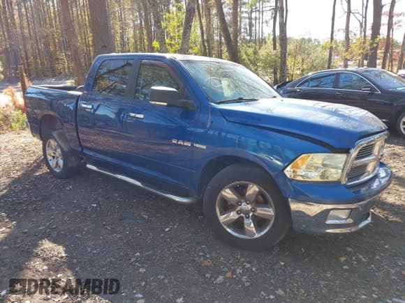 ✅ 2010 Dodge 1500 SLT • VIN: 1D7RV1CT9AS104146 • Lot: 43687897. Listed on IAAI with 184,602 mi. Free auction sales archive from the USA and detailed vehicle history report at DreamBid. Image 1.