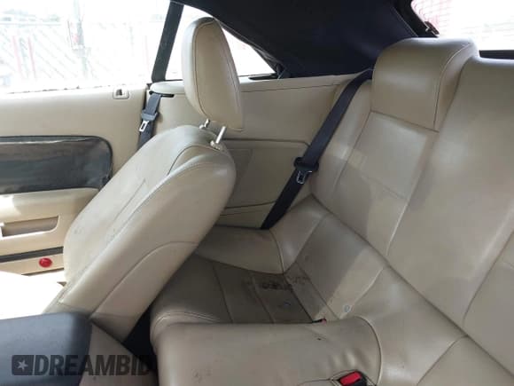 ✅ 2006 Ford Mustang Standard • VIN: 1ZVHT84N565250504 • Lot: 39591693. Listed on IAAI with Not provided. Free auction sales archive from the USA and detailed vehicle history report at DreamBid. Image 8.