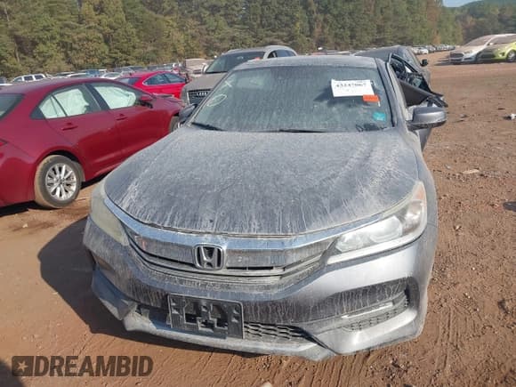 ✅ 2016 Honda Accord EX • VIN: 1HGCR2F0XGA138768 • Lot: 43247067. Wystawiony na IAAI z przebiegiem 93 639 mil. Bezpłatny archiwum sprzedaży aukcyjnych z USA i szczegółowy raport historii pojazdu na DreamBid. Zdjęcie 12.