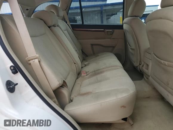 ✅ 2007 Hyundai Santa Fe SE • VIN: 5NMSH13E97H086658 • Лот: 85554975. Опубликован ранее на Copart с пробегом 187 517 миль. Бесплатный доступ к архиву аукционных продаж из США и подробный отчёт об истории автомобиля на DreamBid. Изображение 11.