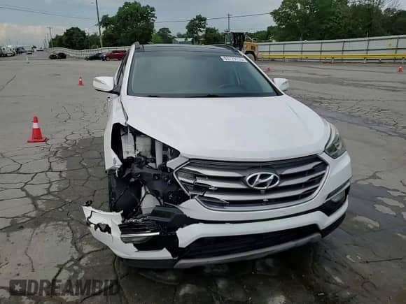 2018 Hyundai Santa Fe Ultimate with VIN 5XYZW4LA0JG550361, listed as a Copart auction lot 63779115 with 102,285 mi miles and Salvage title. Bid and sale history available at DreamBid. Image 14.