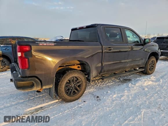 ✅ 2022 Chevrolet Silverado 1500 Custom Trail Boss • VIN: 3GCPDCEK6NG663140 • Lot: 95386155. Wystawiony na Copart z przebiegiem 156 664 mil. Bezpłatny archiwum sprzedaży aukcyjnych z USA i szczegółowy raport historii pojazdu na DreamBid. Zdjęcie 3.