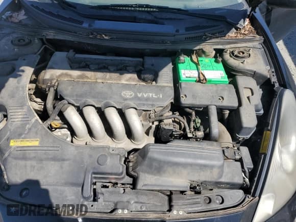 ✅ 2003 Toyota Celica GTS • VIN: JTDDY32TX30065753 • Lot: 50406345. Wystawiony na Copart z przebiegiem 205 613 mil. Bezpłatny archiwum sprzedaży aukcyjnych z USA i szczegółowy raport historii pojazdu na DreamBid. Zdjęcie 11.