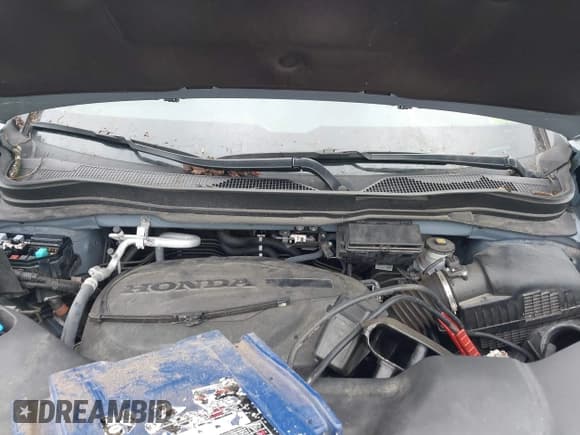 ✅ 2023 Honda Passport EX-L • VIN: 5FNYF8H52PB020259 • Lot: 43397461. Wystawiony na IAAI z przebiegiem 26 000 mil. Bezpłatny archiwum sprzedaży aukcyjnych z USA i szczegółowy raport historii pojazdu na DreamBid. Zdjęcie 10.