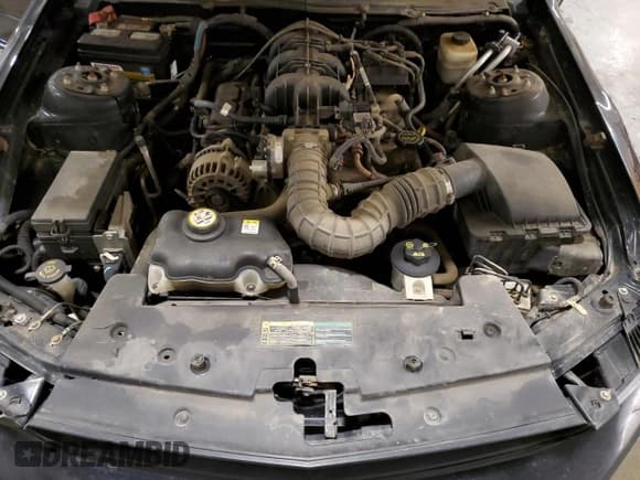 ✅ 2007 Ford Mustang Deluxe • VIN: 1ZVFT84N875344806 • Lot: 82203135. Listed on Copart with 160,404 mi. Free auction sales archive from the USA and detailed vehicle history report at DreamBid. Image 11.