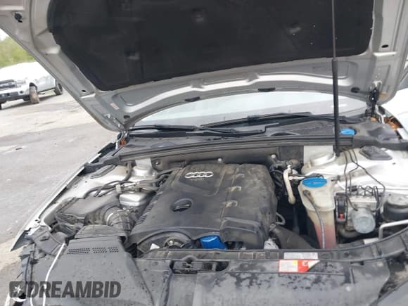 ✅ 2010 Audi A4 Premium Plus • VIN: WAUEFAFL3AN045124 • Lot: 41866521. Listed on IAAI with 125,054 mi. Free auction sales archive from the USA and detailed vehicle history report at DreamBid. Image 10.