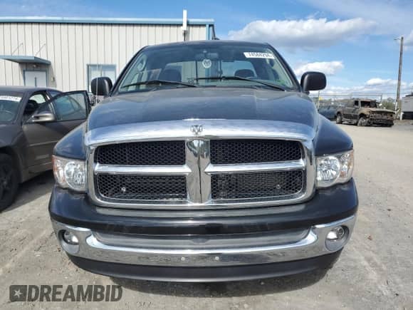 2003 Dodge 1500 ST z VIN 1D7HU18D73S243601, wystawiony jako Copart lot #74584294 z przebiegiem 153 791 mil mil oraz Szkoda całkowita • Salvage title. Historia ofert i sprzedaży dostępna na DreamBid. Obrazek 5.