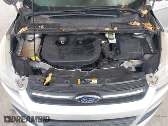 ✅ 2013 Ford Escape SE • VIN: 1FMCU9G99DUD86681 • Lot: 43745061. Wystawiony na IAAI z przebiegiem 182 623 mil. Bezpłatny archiwum sprzedaży aukcyjnych z USA i szczegółowy raport historii pojazdu na DreamBid. Zdjęcie 10.