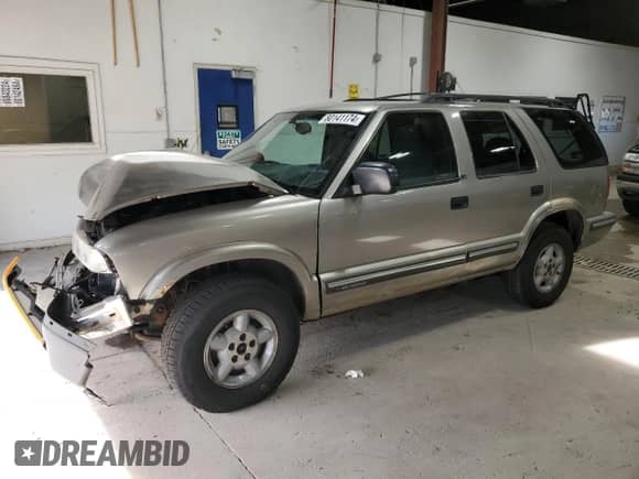 1999 Chevrolet Blazer LS with VIN 1GNDT13W9X2105768, listed as a Copart auction lot 80141174 with 193,804 mi miles and Salvage title. Bid and sale history available at DreamBid. Image 1.