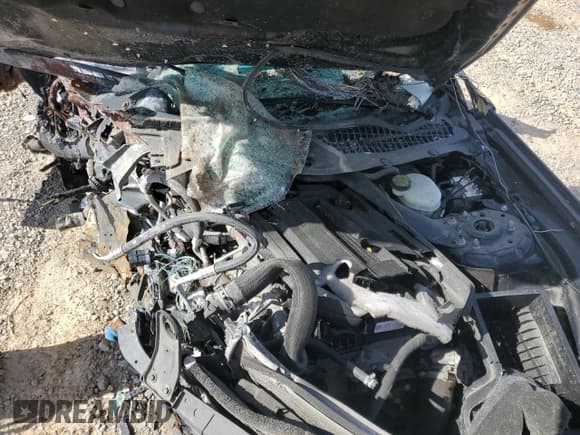 ✅ 2017 Ford Mustang EcoBoost Premium • VIN: 1FATP8UH6H5205270 • Lot: 51417185. Wystawiony na Copart z przebiegiem Nie podano. Bezpłatny archiwum sprzedaży aukcyjnych z USA i szczegółowy raport historii pojazdu na DreamBid. Zdjęcie 11.