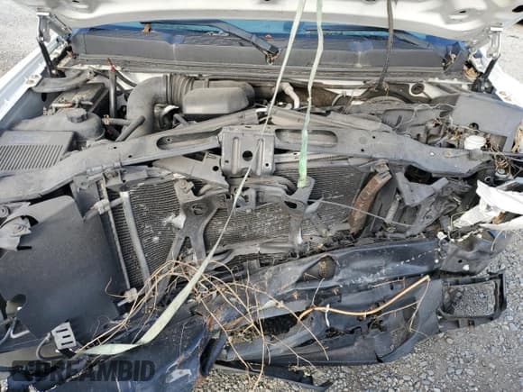 ✅ 2010 Chevrolet Silverado 1500 Work Truck • VIN: 1GCPCPEX1AZ205179 • Lot: 80520155. Listed on Copart with Not provided. Free auction sales archive from the USA and detailed vehicle history report at DreamBid. Image 11.