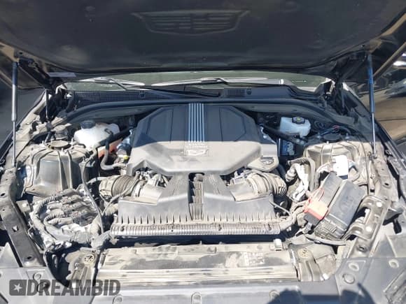 ✅ 2025 Cadillac CT5 Premium Luxury • VIN: 1G6DN5RW9S0113426 • Lot: 43277785. Wystawiony na IAAI z przebiegiem 30 945 mil. Bezpłatny archiwum sprzedaży aukcyjnych z USA i szczegółowy raport historii pojazdu na DreamBid. Zdjęcie 10.