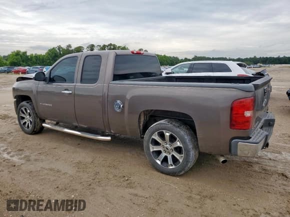 ✅ 2007 Chevrolet Silverado 1500 Work Truck • VIN: 2GCEC19C171606969 • Lot: 60600895. Listed on Copart with 170,787 mi. Free auction sales archive from the USA and detailed vehicle history report at DreamBid. Image 2.