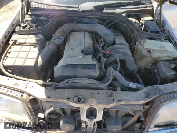 ✅ 1995 Mercedes-Benz C 2.8L • VIN: WDBHA28E7SF255142 • Lot: 68411704. Wystawiony na Copart z przebiegiem 334 000 mil. Bezpłatny archiwum sprzedaży aukcyjnych z USA i szczegółowy raport historii pojazdu na DreamBid. Zdjęcie 11.