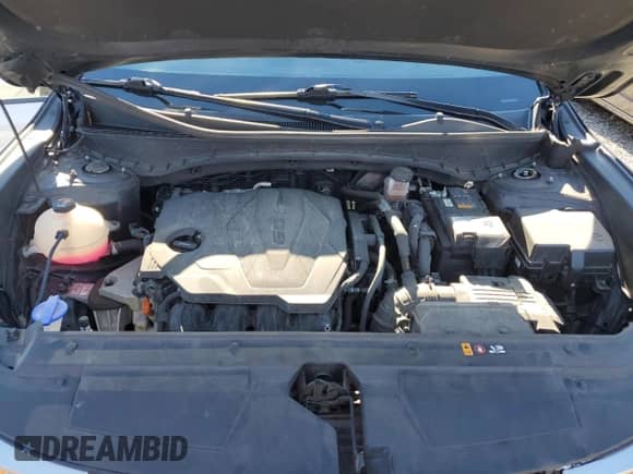 2022 Hyundai Santa Cruz SEL with VIN 5NTJCDAE2NH015267, listed as a Copart auction lot 79953324 with 53,549 mi miles and Non repairable. Bid and sale history available at DreamBid. Image 11.