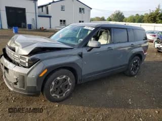 ✅ 2024 Hyundai Santa Fe SE • VIN: 5NMP1DGL9RH012793 • Lot: 81367755. Wystawiony na Copart z przebiegiem 12 104 mil. Bezpłatny archiwum sprzedaży aukcyjnych z USA i szczegółowy raport historii pojazdu na DreamBid. Zdjęcie 1.