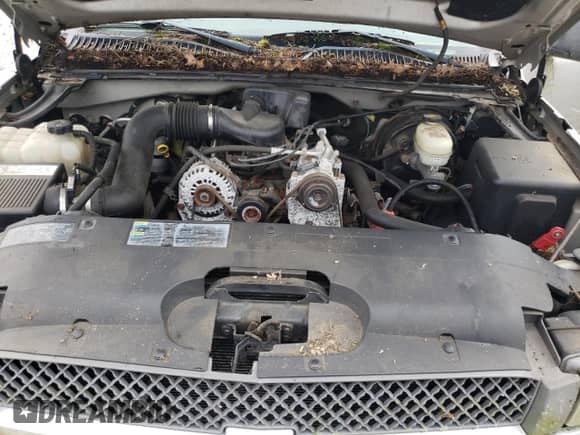 2005 Chevrolet Silverado 1500 Work Truck z VIN 1GCEC14X55Z142602, wystawiony jako Copart lot #65685494 z przebiegiem 103 299 mil mil oraz Czysty tytuł • Clean title. Historia ofert i sprzedaży dostępna na DreamBid. Obrazek 11.