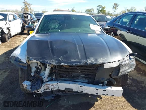 ✅ 2015 Dodge Charger Road/Track • VIN: 2C3CDXCT2FH825885 • Лот: 43447148. Опубликован ранее на IAAI с пробегом 136 130 миль. Бесплатный доступ к архиву аукционных продаж из США и подробный отчёт об истории автомобиля на DreamBid. Изображение 6.