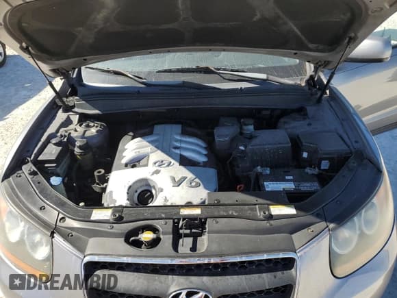 ✅ 2007 Hyundai Santa Fe SE • VIN: 5NMSH13E97H087325 • Lot: 82957004. Listed on Copart with 252,940 mi. Free auction sales archive from the USA and detailed vehicle history report at DreamBid. Image 11.