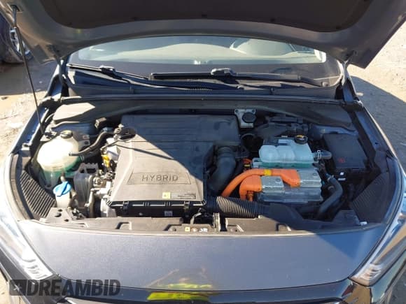 ✅ 2019 Hyundai Ioniq SEL • VIN: KMHC75LC4KU113713 • Lot: 43483887. Listed on IAAI with 82,982 mi. Free auction sales archive from the USA and detailed vehicle history report at DreamBid. Image 10.