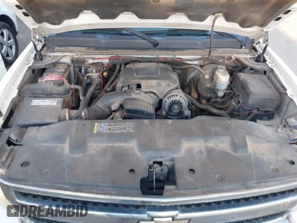 ✅ 2008 Chevrolet Silverado 1500 1LT • VIN: 3GCEC13J58G260845 • Lot: 43490818. Wystawiony na IAAI z przebiegiem 250 792 mil. Bezpłatny archiwum sprzedaży aukcyjnych z USA i szczegółowy raport historii pojazdu na DreamBid. Zdjęcie 10.