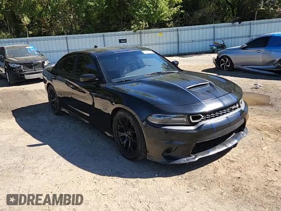 ✅ 2019 Dodge Charger Scat Pack • VIN: 2C3CDXGJ7KH756825 • Lot: 87449285. Listed on Copart with 135,853 mi. Free auction sales archive from the USA and detailed vehicle history report at DreamBid. Image 13.