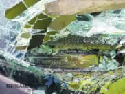 ✅ 2012 Toyota Camry SE • VIN: 4T1BK1FK6CU500903 • Lot: 42365820. Listed on IAAI with 108,520 mi. Free auction sales archive from the USA and detailed vehicle history report at DreamBid. Image 9.