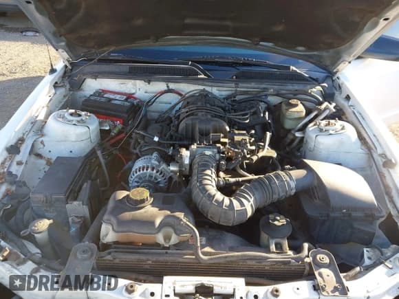 ✅ 2007 Ford Mustang Deluxe • VIN: 1ZVHT80N475210616 • Lot: 43895736. Listed on IAAI with 205,099 mi. Free auction sales archive from the USA and detailed vehicle history report at DreamBid. Image 10.