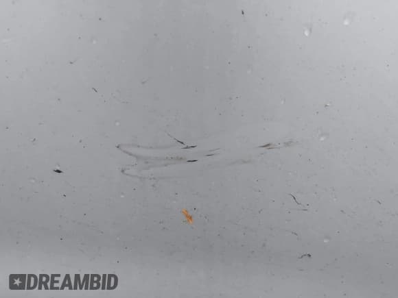 ✅ 2011 MINI Countryman S • VIN: WMWZC3C57BWL79423 • Lot: 43703242. Wystawiony na IAAI z przebiegiem 60 362 mil. Bezpłatny archiwum sprzedaży aukcyjnych z USA i szczegółowy raport historii pojazdu na DreamBid. Zdjęcie 13.