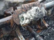 ✅ 2019 Chevrolet Silverado 1500 LT • VIN: 1GCPWCED0KZ116422 • Lot: 42883220. Wystawiony na IAAI z przebiegiem Nie podano. Bezpłatny archiwum sprzedaży aukcyjnych z USA i szczegółowy raport historii pojazdu na DreamBid. Zdjęcie 7.