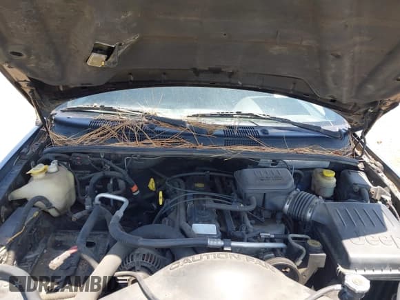 ✅ 2001 Jeep Grand Cherokee Laredo • VIN: 1J4GW48S31C579926 • Lot: 42331094. Listed on IAAI with Not provided. Free auction sales archive from the USA and detailed vehicle history report at DreamBid. Image 10.