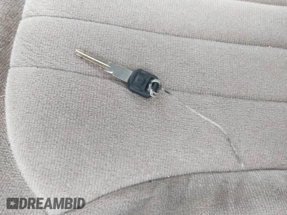 ✅ 1998 Chevrolet S-10 • VIN: 1GCCS14W8W8121476 • Lot: 43405163. Listed on IAAI with Not provided. Free auction sales archive from the USA and detailed vehicle history report at DreamBid. Image 11.