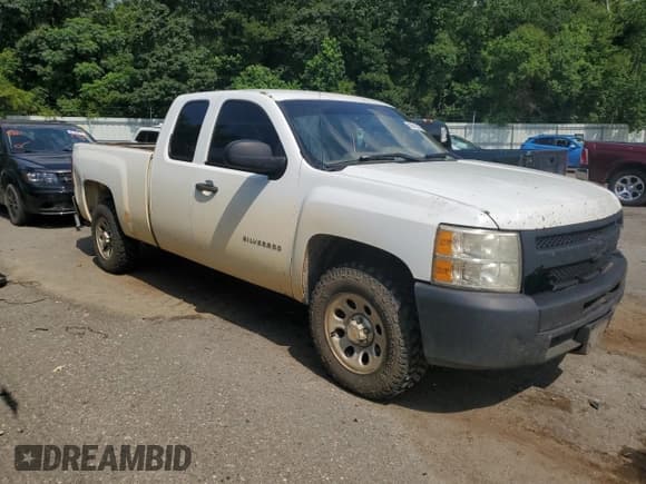 ✅ 2010 Chevrolet Silverado 1500 Work Truck • VIN: 1GCSCPE05AZ229823 • Lot: 66613005. Listed on Copart with 308,266 mi. Free auction sales archive from the USA and detailed vehicle history report at DreamBid. Image 4.