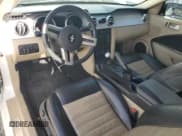 ✅ 2008 Ford Mustang GT Deluxe • VIN: 1ZVHT82H185142185 • Lot: 90108635. Wystawiony na Copart z przebiegiem 107 068 mil. Bezpłatny archiwum sprzedaży aukcyjnych z USA i szczegółowy raport historii pojazdu na DreamBid. Zdjęcie 8.