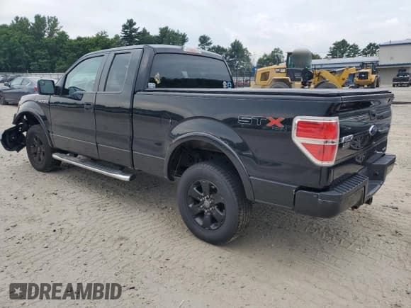 ✅ 2013 Ford F-150 XL • VIN: 1FTFX1EFXDKD57043 • Lot: 67001245. Wystawiony na Copart z przebiegiem 175 844 mil. Bezpłatny archiwum sprzedaży aukcyjnych z USA i szczegółowy raport historii pojazdu na DreamBid. Zdjęcie 2.