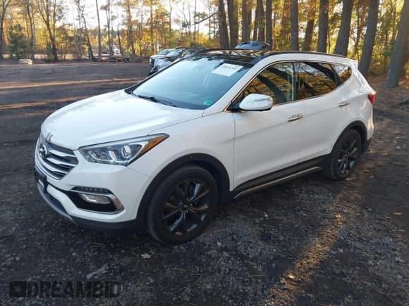 ✅ 2017 Hyundai Santa Fe Ultimate • VIN: 5XYZW4LA3HG425669 • Lot: 43610742. Listed on IAAI with 106,617 mi. Free auction sales archive from the USA and detailed vehicle history report at DreamBid. Image 2.