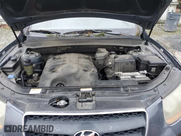 ✅ 2008 Hyundai Santa Fe SE • VIN: 5NMSH73E98H172489 • Lot: 82557524. Listed on Copart with 259,062 mi. Free auction sales archive from the USA and detailed vehicle history report at DreamBid. Image 12.