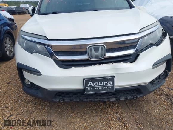✅ 2019 Honda Pilot EX-L • VIN: 5FNYF5H51KB008630 • Lot: 42966581. Listed on IAAI with 182,416 mi. Free auction sales archive from the USA and detailed vehicle history report at DreamBid. Image 17.