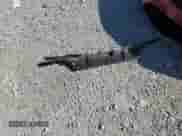 2017 Mitsubishi Outlander SE с VIN JA4AD3A38HZ000817, выставлен на аукционе Copart как лот 66009845 с пробегом 105 401 миль миль и Списание • Salvage title. История ставок и продаж доступна на DreamBid. Изображение 13.