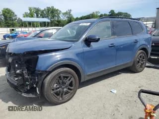 ✅ 2024 Kia Telluride SX X-Line • VIN: 5XYP5DGC2RG535412 • Лот: 59612785. Опубликован ранее на Copart с пробегом 14 645 миль. Бесплатный доступ к архиву аукционных продаж из США и подробный отчёт об истории автомобиля на DreamBid. Изображение 1.