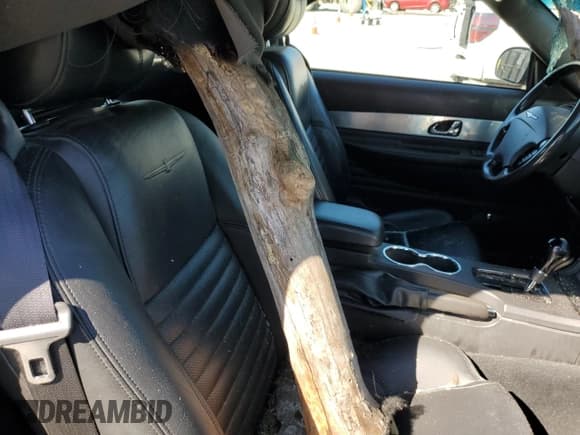 ✅ 2002 Ford Thunderbird Hardtop Premium • VIN: 1FAHP60AX2Y118982 • Lot: 82323305. Wystawiony na Copart z przebiegiem 101 110 mil. Bezpłatny archiwum sprzedaży aukcyjnych z USA i szczegółowy raport historii pojazdu na DreamBid. Zdjęcie 10.