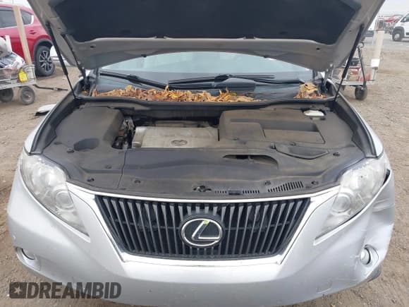 ✅ 2010 Lexus RX 350 • VIN: 2T2BK1BA3AC023273 • Lot: 43735595. Wystawiony na IAAI z przebiegiem 141 130 mil. Bezpłatny archiwum sprzedaży aukcyjnych z USA i szczegółowy raport historii pojazdu na DreamBid. Zdjęcie 10.