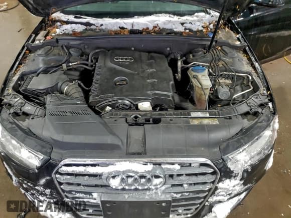 ✅ 2013 Audi A4 Premium Plus • VIN: WAUFFAFL9DN019409 • Lot: 96231035. Listed on Copart with 127,288 mi. Free auction sales archive from the USA and detailed vehicle history report at DreamBid. Image 11.