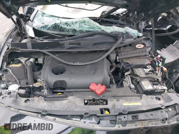 ✅ 2019 Nissan Maxima SL • VIN: 1N4AA6AV0KC377059 • Lot: 42172311. Wystawiony na IAAI z przebiegiem 49 364 mil. Bezpłatny archiwum sprzedaży aukcyjnych z USA i szczegółowy raport historii pojazdu na DreamBid. Zdjęcie 10.