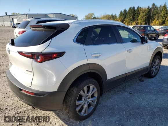 ✅ 2024 Mazda CX-30 S Carbon Edition • VIN: 3MVDMBCM2RM719436 • Lot: 85679915. Wystawiony na Copart z przebiegiem 16 557 mil. Bezpłatny archiwum sprzedaży aukcyjnych z USA i szczegółowy raport historii pojazdu na DreamBid. Zdjęcie 3.
